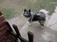 /album/z-novych-domovu/stazeny-soubor-jpg/